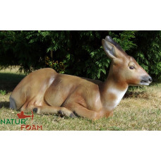 Natur Foam ROEDEER DOE - SITTING